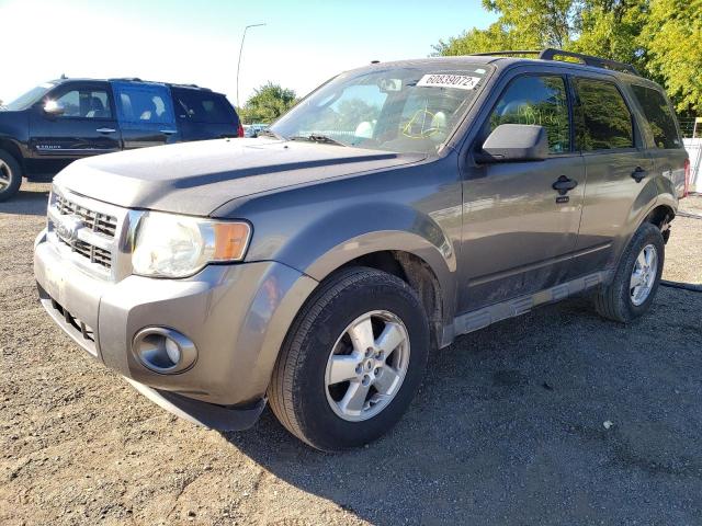 Photo 2 from auction – 2010 FORD ESCAPE XLT with VIN 1FMCU0DG6AKB72527