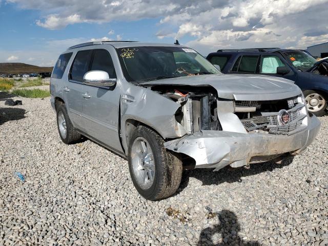 CADILLAC ESCALADE P 2013 with VIN 1GYS4CEF1DR125371 - Photo from auction