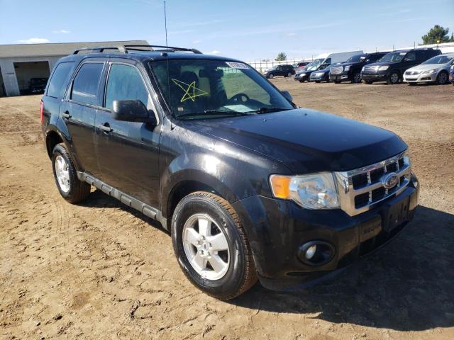 FORD ESCAPE XLT 2011 with VIN 1FMCU0DG7BKA23125 - Photo from auction