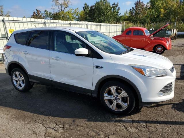 FORD ESCAPE SE 2014 with VIN 1FMCU0GXXEUB26625 - Photo from auction