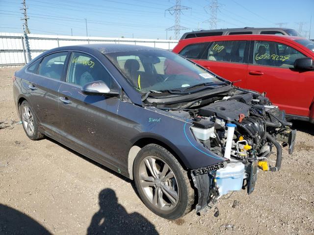 HYUNDAI SONATA LIM 2019 with VIN 5NPE34AF1KH772438 - Photo from auction