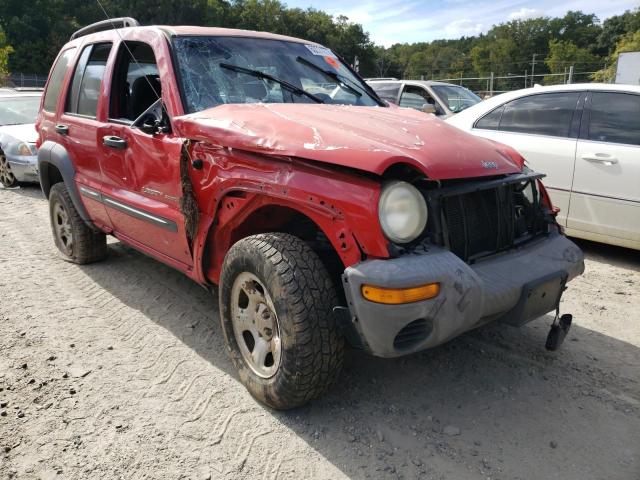JEEP LIBERTY SP 2002 with VIN 1J4GL48K62W148487 - Photo from auction