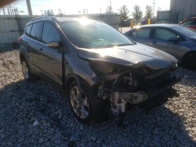 FORD ESCAPE TIT 2014 with VIN 1FMCU9J90EUB78876 - Photo from auction