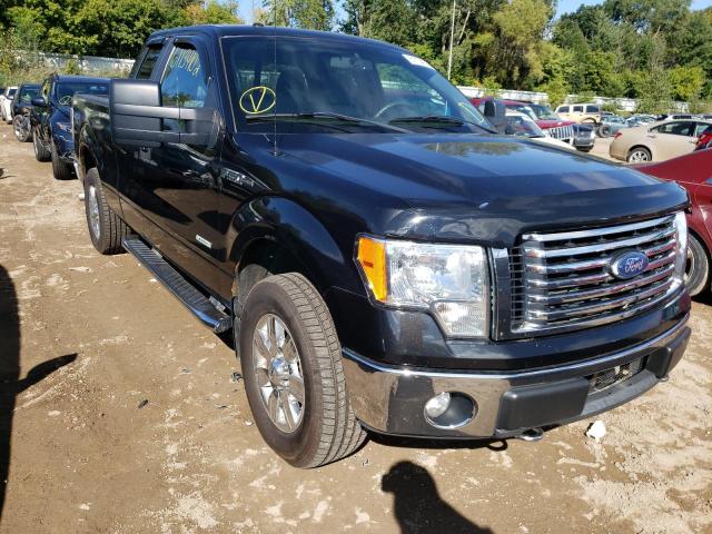 FORD F150 SUPER 2011 with VIN 1FTFX1ET2BFA59100 - Photo from auction