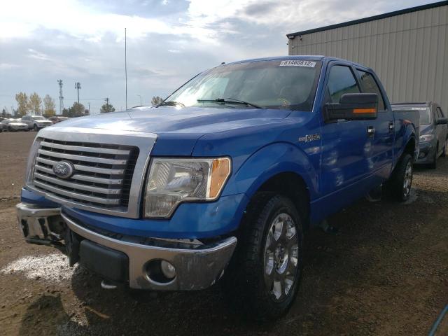 Photo 2 from auction – 2010 FORD F150 SUPER with VIN 1FTFW1EVXAFC93844