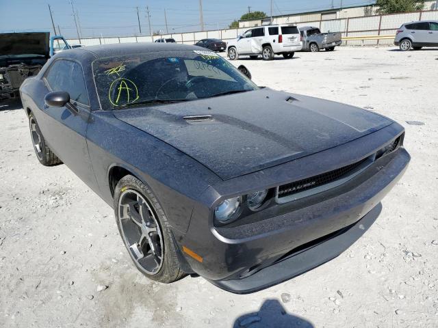 DODGE CHALLENGER 2014 with VIN 2C3CDYAG3EH137520 - Photo from auction