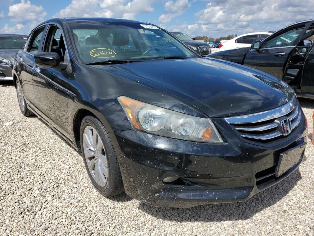 HONDA ACCORD EXL 2011 with VIN 1HGCP3F83BA032866 - Photo from auction