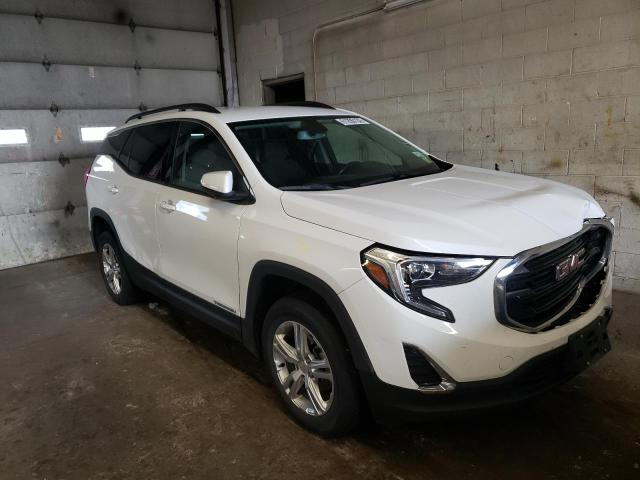 GMC TERRAIN SL 2019 with VIN 3GKALTEV5KL108920 - Photo from auction