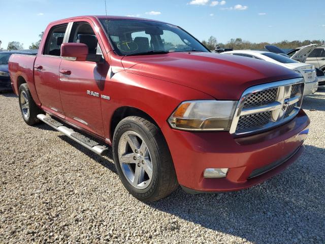 DODGE RAM 1500 2009 with VIN 1D3HB13T69S805504 - Photo from auction