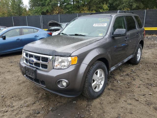 Photo 2 from auction – 2009 FORD ESCAPE XLT with VIN 1FMCU93G59KA03570