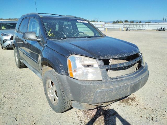 CHEVROLET EQUINOX LS 2005 with VIN 2CNDL23F756091864 - Photo from auction