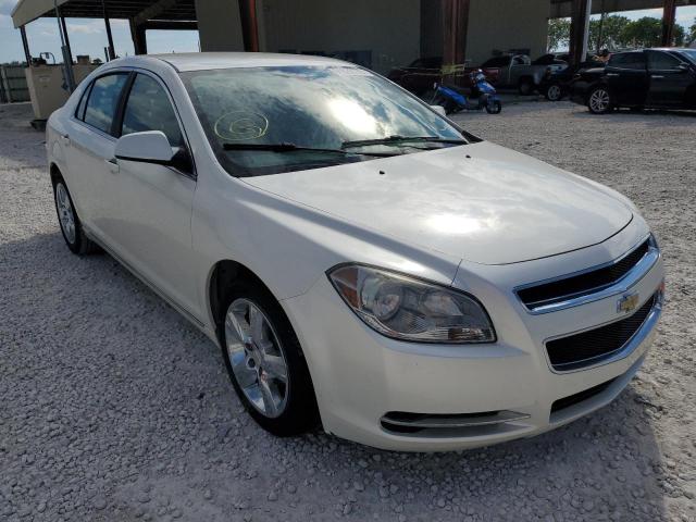 CHEVROLET MALIBU 2LT 2011 with VIN 1G1ZD5E16BF282230 - Photo from auction