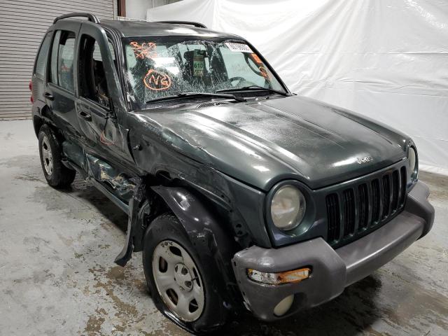 JEEP LIBERTY SP 2003 with VIN 1J4GL48K03W614545 - Photo from auction