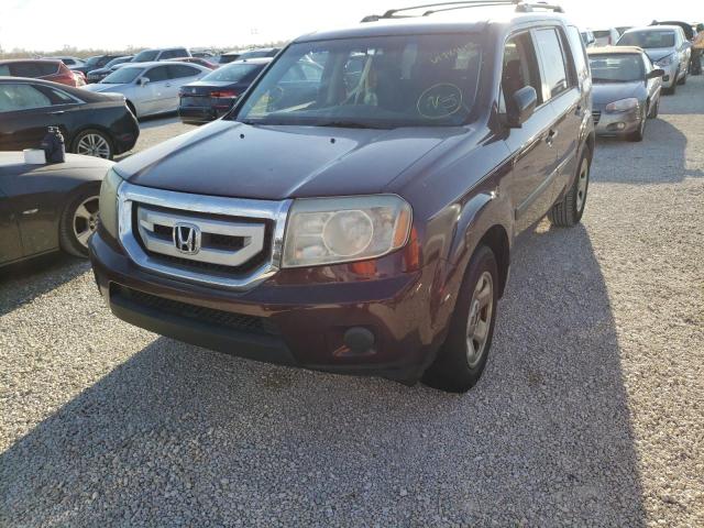Photo 2 from auction – 2009 HONDA PILOT LX with VIN 5FNYF38259B002267