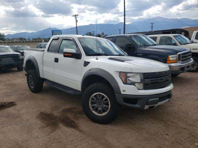 FORD F150 SUPER 2010 with VIN 1FTEX1EV7AFB47359 - Photo from auction