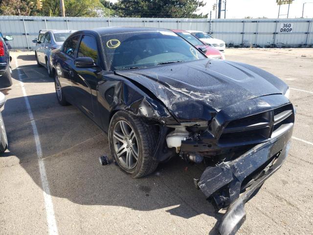 DODGE CHARGER PO 2012 with VIN 2C3CDXAGXCH280410 - Photo from auction