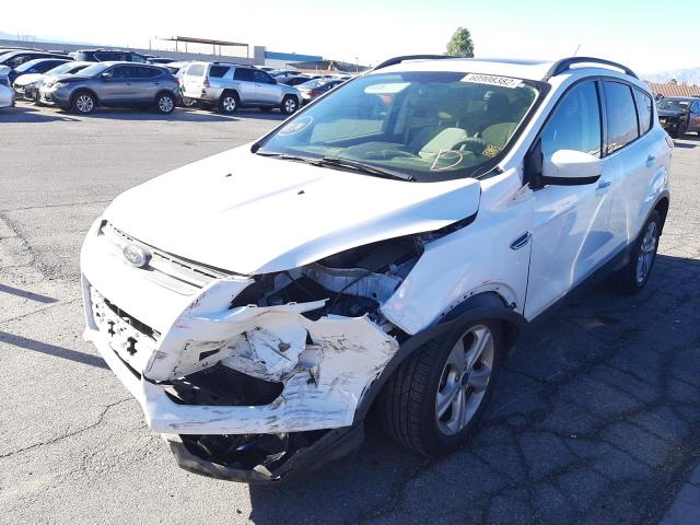 Photo 2 from auction – 2014 FORD ESCAPE SE with VIN 1FMCU0G95EUD80793