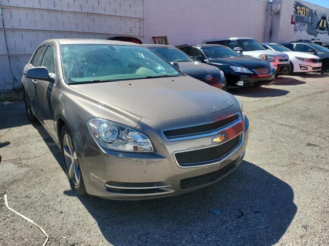 CHEVROLET MALIBU 1LT 2011 with VIN 1G1ZC5E10BF155752 - Photo from auction