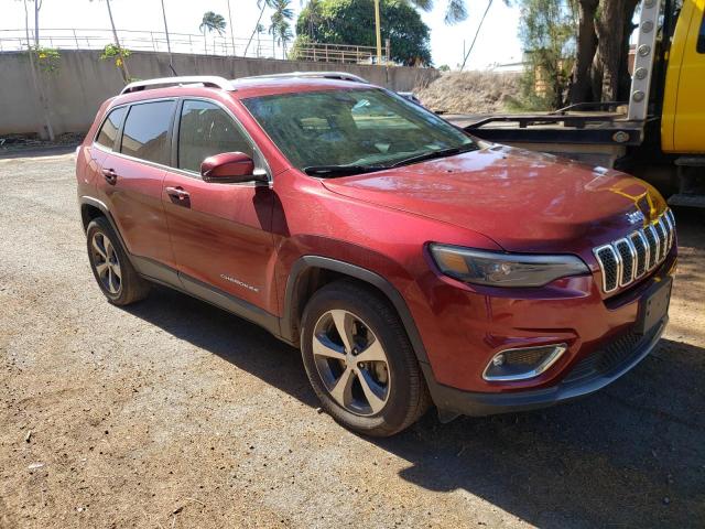 JEEP CHEROKEE L 2019 with VIN 1C4PJMDN9KD319949 - Photo from auction