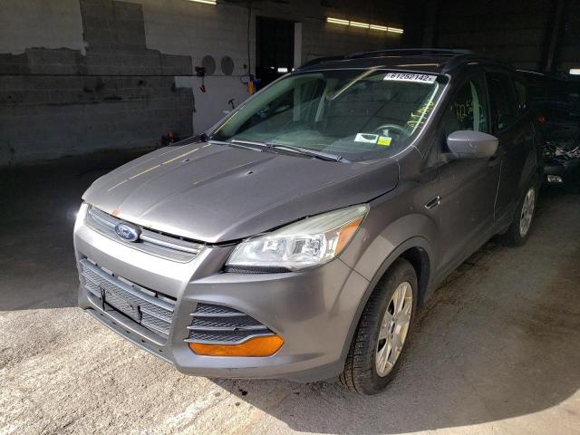 Photo 2 from auction – 2013 FORD ESCAPE S with VIN 1FMCU0F70DUA74485