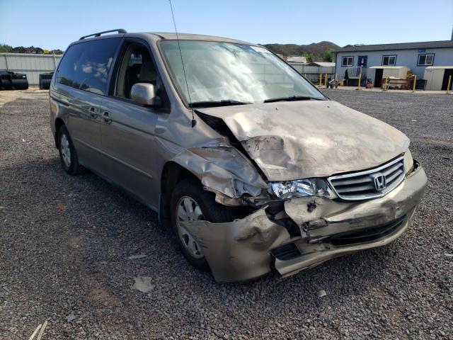 HONDA ODYSSEY EX 2004 with VIN 5FNRL18644B033135 - Photo from auction