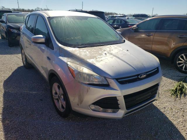 FORD ESCAPE SE 2014 with VIN 1FMCU0GX3EUC98768 - Photo from auction