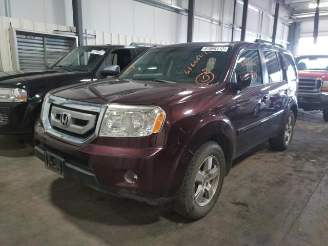 Photo 2 from auction – 2010 HONDA PILOT EXL with VIN 5FNYF4H67AB010710