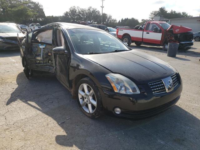 NISSAN MAXIMA SE 2006 with VIN 1N4BA41E36C849110 - Photo from auction