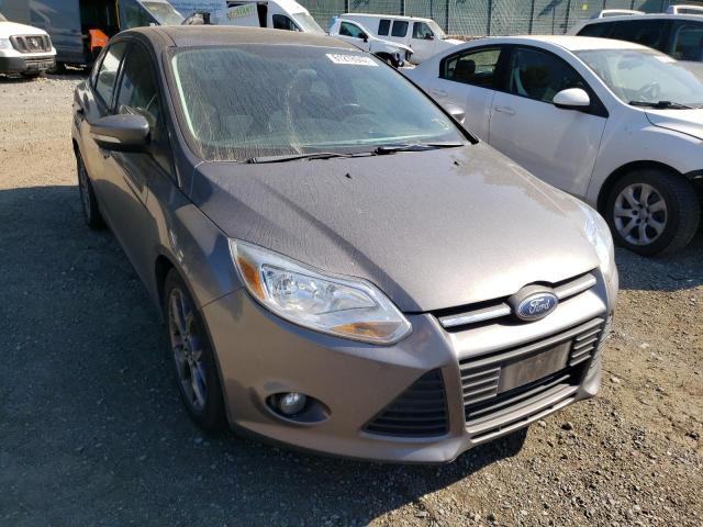 FORD FOCUS SE 2013 with VIN 1FADP3F20DL342565 - Photo from auction