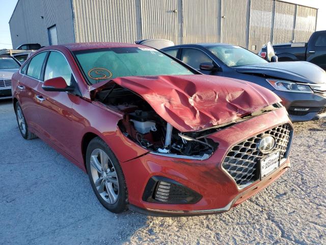 HYUNDAI SONATA LIM 2019 with VIN 5NPE34AF4KH768805 - Photo from auction