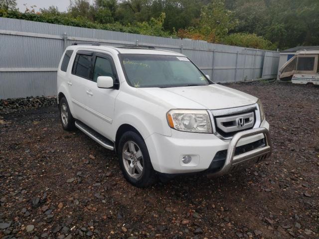 HONDA PILOT 2009 with VIN 5FNYF48519B034746 - Photo from auction
