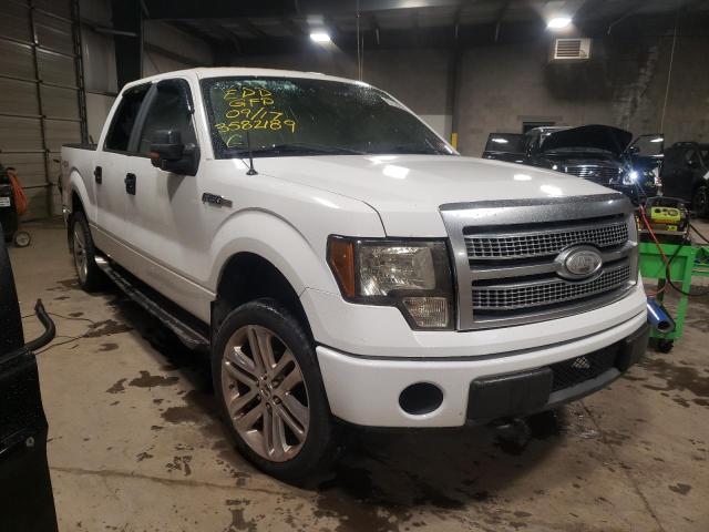 Photo 1 from auction – 2009 FORD F150 SUPER with VIN 1FTPW14V89KC71883