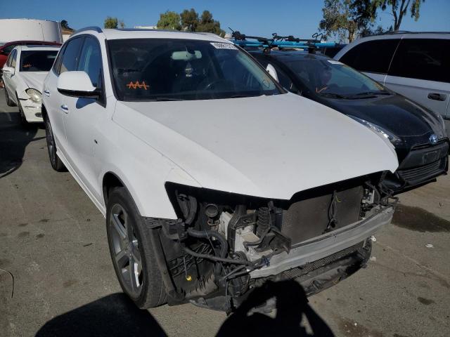 AUDI Q5 PREMIUM 2016 with VIN WA1D7AFP4GA147699 - Photo from auction