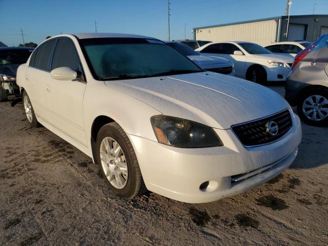 NISSAN ALTIMA S 2005 with VIN 1N4AL11E05C147510 - Photo from auction