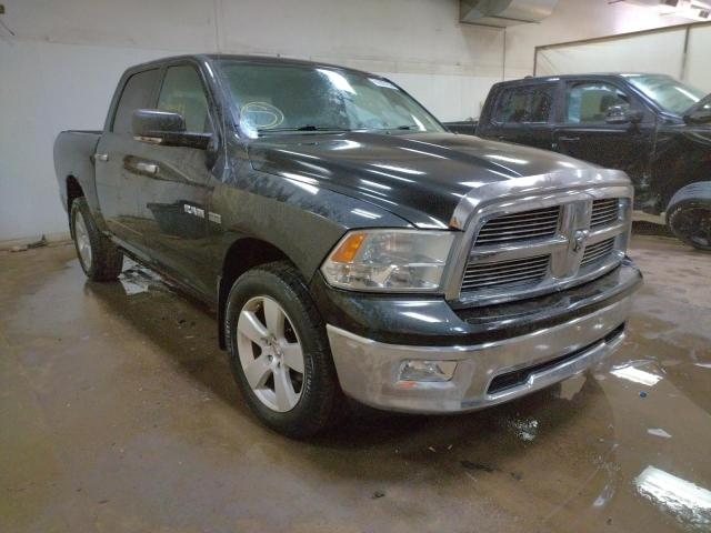 DODGE RAM 1500 2009 with VIN 1D3HV13T99S801082 - Photo from auction