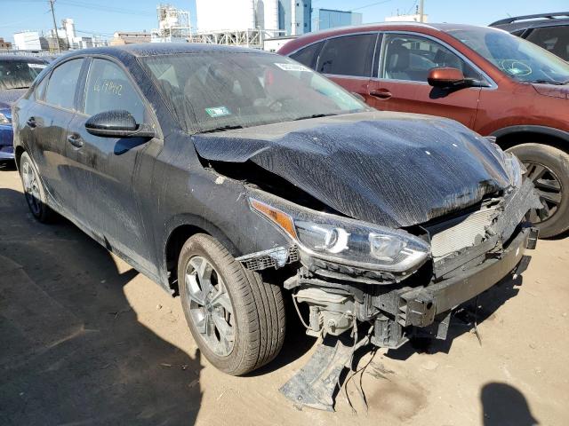 KIA FORTE FE 2019 with VIN 3KPF24AD3KE135660 - Photo from auction