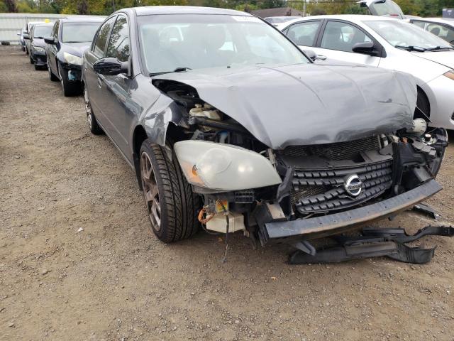 NISSAN ALTIMA SE 2006 with VIN 1N4BL11D66C244935 - Photo from auction