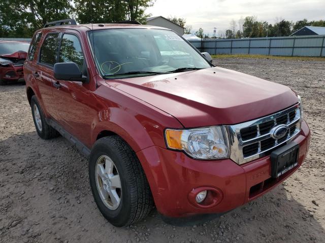 FORD ESCAPE XLT 2009 with VIN 1FMCU93G59KC97875 - Photo from auction