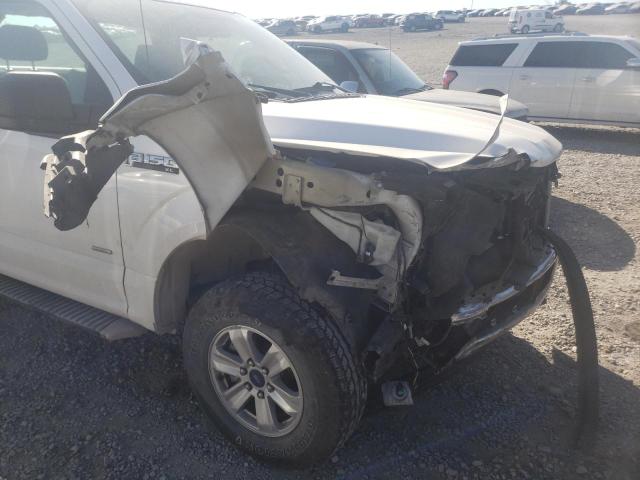 Photo 9 from auction – 2017 FORD F150 with VIN 1FTMF1EP5HKE07372