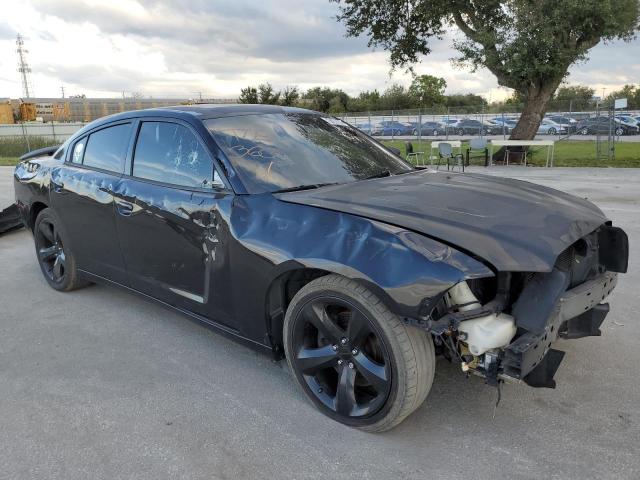 DODGE CHARGER R/ 2014 with VIN 2C3CDXCT9EH114196 - Photo from auction