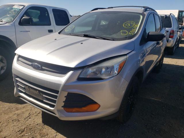 Photo 2 from auction – 2013 FORD ESCAPE S with VIN 1FMCU0F79DUB71667