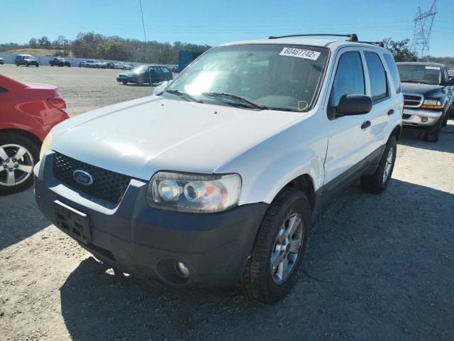 Photo 2 from auction – 2007 FORD ESCAPE XLT with VIN 1FMYU03Z07KA98717