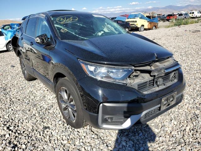 HONDA CR-V 2020 with VIN 5J6RW2H52LA004366 - Photo from auction