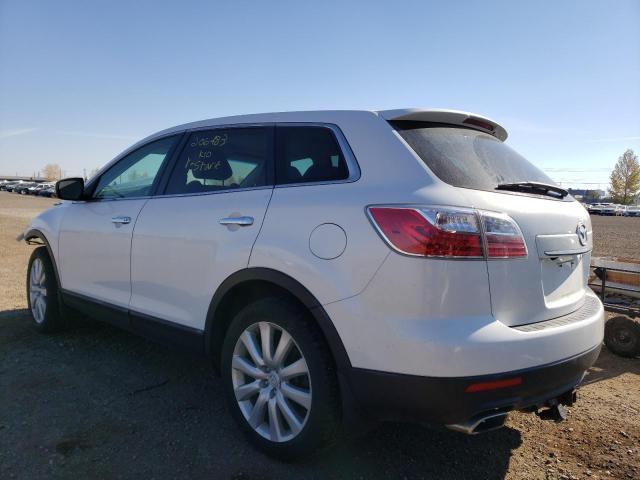 Photo 3 from auction – 2010 MAZDA CX-9 with VIN JM3TB3MA3A0214811