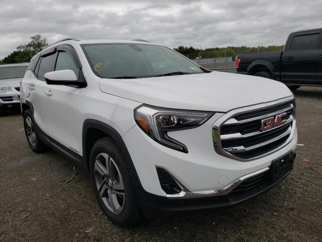 GMC TERRAIN SL 2020 with VIN 3GKALPEV0LL239472 - Photo from auction