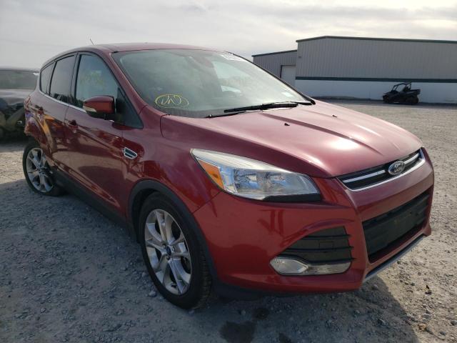 FORD ESCAPE SEL 2013 with VIN 1FMCU0H95DUB79537 - Photo from auction