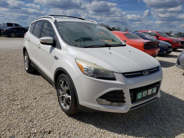 FORD ESCAPE TIT 2014 with VIN 1FMCU0J98EUD70493 - Photo from auction