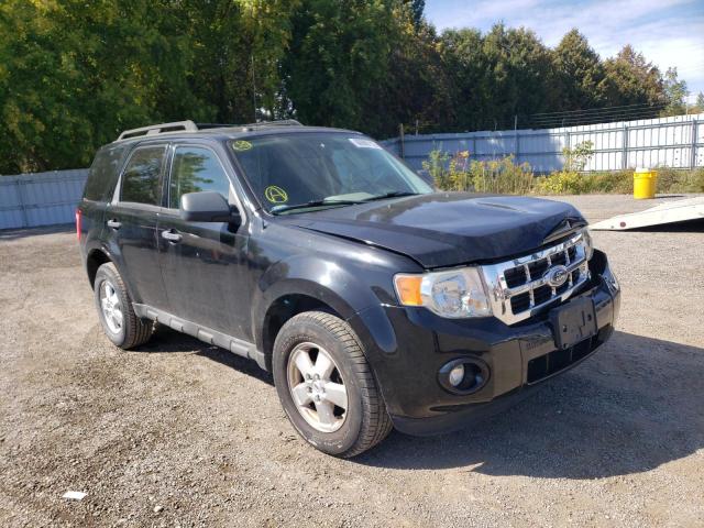 Photo 1 from auction – 2009 FORD ESCAPE XLT with VIN 1FMCU03G49KA34949