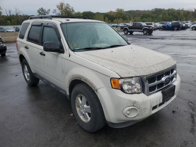 FORD ESCAPE XLT 2011 with VIN 1FMCU9DG8BKB56920 - Photo from auction