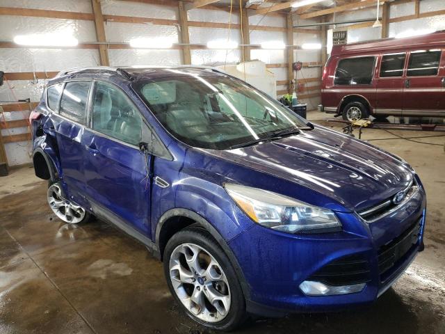 FORD ESCAPE TIT 2014 with VIN 1FMCU0J97EUB13308 - Photo from auction